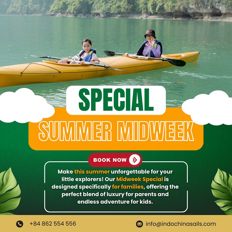 夏日工作日出逃